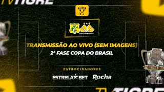 BRASILIENSE x CRICIÚMA  2ª FASE DA COPA DO BRASIL 2024 SEM IMAGENS [upl. by Eiramanel778]