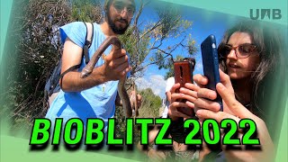 Bioblitz UAB ciència ciutadana per conèixer la biodiversitat del campus [upl. by Airda]