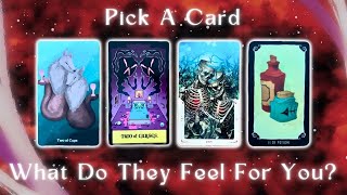 How They’re Currently Feeling About You👻🧡 Pick a Card Timeless InDepth Love Tarot Reading [upl. by Bentlee]