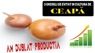 3 GREȘELI IN CULTURA DE CEAPA  INVATA CUM SA EVITI ACESTE GRESELI CAND CRESTI CEAPA [upl. by Shlomo]