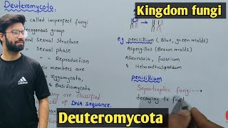 Deuteromycota fungi Life Cycle  Characteristics  Class 11 Biology [upl. by Lerner]