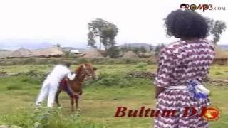 Taju Ahmed  Bokkaan roobee Oromo Music [upl. by Leilani]