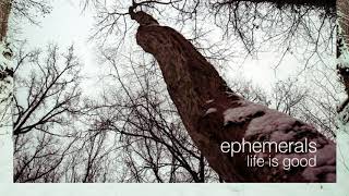 Ephemerals  Life Is Good Technimatic Remix [upl. by Yrok]