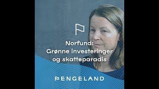 Pengeland Norfund grønne investeringer og skatteparadis [upl. by Balf]