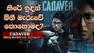 සිව් වසරක මළසිරුරක් හෙළි කරපු අභිරහස  Cadaver Movie Review in Sinhala  Movie Reviews in Sinhala [upl. by Johannah509]