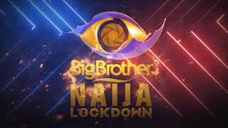 Get to know the BBNaija Lockdown Geng  Big Brother Lockdown  Africa Magic [upl. by Natanoj]