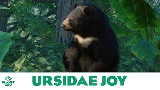 Planet Zoo Ursidae Joy  Planet Zoo MusicBase Game [upl. by Acimehs926]