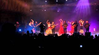 Gipsy Kings Live HQ sound  Israel [upl. by Aisined]