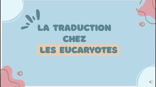 La traduction chez les eucaryotes [upl. by Sherrard158]