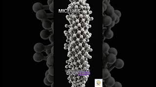 Micelles Definition By Prof Ashish Baldi Micelles drugdelivery [upl. by Adnuhser817]