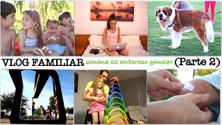 VLOG FAMILIAR Parte 2 semana 12 embarazo gemelar  Julen herido animales y editando vídeos [upl. by Fausta]