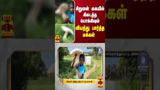 சிறுவன் கையில் கிடைத்த பொக்கிஷம்  வியந்து பார்த்த மக்கள் [upl. by Wynne]