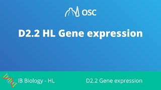 D22 HL Genetic Expression IB Biology HL [upl. by Xyla559]