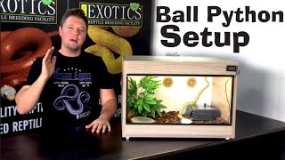 BALL PYTHON SETUP FOR BEGINNERS [upl. by Harras]