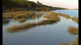 Laguna del Mort  Eraclea Mare  Jesolo [upl. by Aihseuqram426]