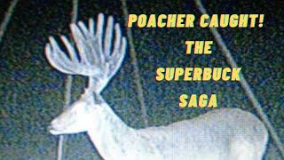 POACHER CAUGHT  The Superbuck Saga [upl. by Rik]