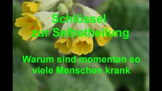 Warum sind momentan so viele Menschen krank [upl. by Donnamarie]