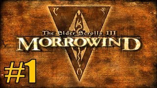 Morrowind Part 1  The Paladin [upl. by Rehoptsirhc]