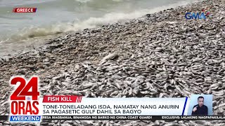 Tonetoneladang isda namatay nang anurin sa Pagasetic Gulf dahil sa bagyo  24 Oras Weekend [upl. by Morette]