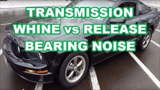 MUSTANG Transmission BEARING WHINE NOISE 5spd NOISY TRANS VS THROW OUT BEARING [upl. by Wrdna69]