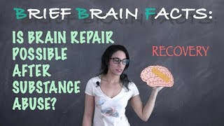 Can The Brain Recover From Addiction [upl. by Spain981]