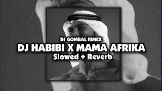 DJ HABIBI X MAMA AFRIKA Slowed  Reverb 🎧 [upl. by Miett]