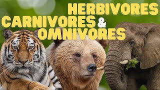 Herbivores Carnivores and Omnivores for Kids  Learn which animals eat plants meat or both [upl. by Auot]