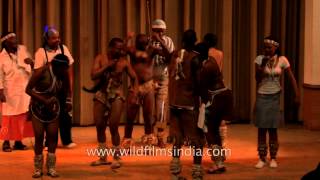 African dancers enthrall all with their rhythm and moves [upl. by Vasta]