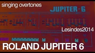 Roland Jupiter 6  Overtone Singing [upl. by Elyad]