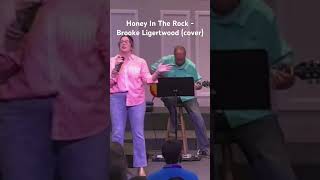 Honey In The Rock  Brooke Ligertwood cover [upl. by Peck]