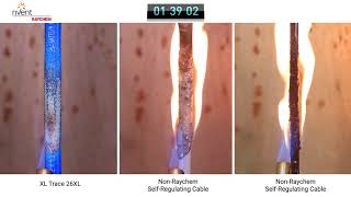 RAYCHEM XLTrace Flammability Test [upl. by Eniamsaj]