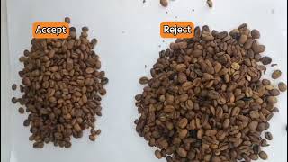 RoastedCoffeeBean Sorting with AMD® PLG AIPowered Sorter [upl. by Wilbur]