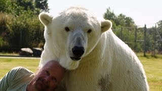 Man cuddles polar bear  Animal Odd Couples Episode 2 Preview  BBC One [upl. by Rovert665]