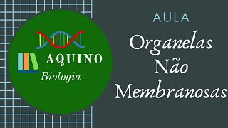 Organelas não membranosas  Ribossomos e Centríolos  Prof Aquino Bio [upl. by Petronille]