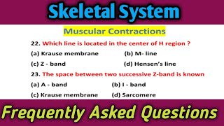 MCQs on Muscle Contraction  Skeletal System Most Important questions [upl. by Hessler]