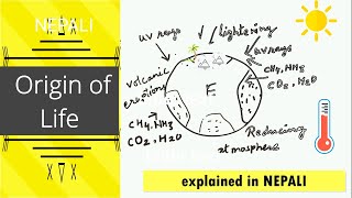 Biochemical origin of life NEB Biology 11 Part 1 Oparin and Haldanes theory [upl. by Ayotnom]