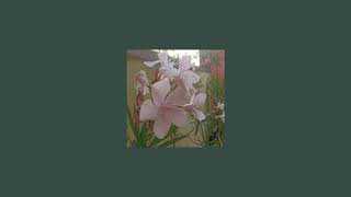 mother mother  oleander slowed  reverb [upl. by Anaeco742]