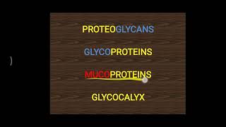 Proteoglycan ll Glygoprotein ll Mucoprotein ll Glycocalyx [upl. by Nywde143]