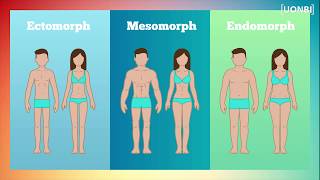 MINUTE REPONSE 5  Les types de morphologies [upl. by Nnylhtak]