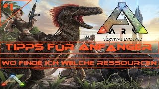 Ark Survival Evolved  Tipps für Anfänger  Ressourcen Metall Obsidian Polymer Öl usw  EndbossTV [upl. by Rengaw945]