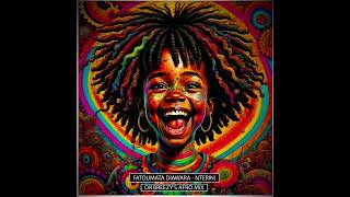 Fatoumata Diawara  Nterini Dr Breezys Afro Mix [upl. by Laerol]