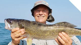 Jigging spoon walleye with the stingnose peanut bunker [upl. by Ssur]