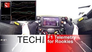 F1 Telemetry for Rookies  Sauber F1 Team [upl. by Lleznod752]