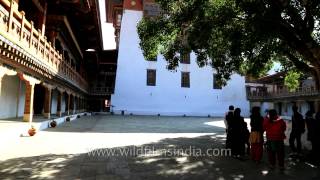 Inner courtyard of Punakha Dzong in Bhutan [upl. by Ynnob590]