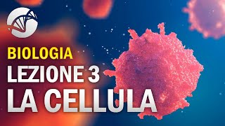 BIOLOGIA  Lezione 3  La Cellula Eucariota [upl. by Euqinamod294]