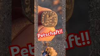 Was für ein schöner PETSCHAFT Sondeln mit Nokta Triple Score Metaldetecting Schatzsuche [upl. by Nanfa707]