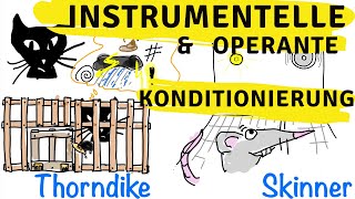 Instrumentelle amp operante Konditionierung  Skinner Thorndike und der Behaviorismus [upl. by Etac99]