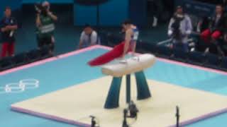 Who is Pommel Horse Gymnast Stephen Nedoroscik Get to Know the Viral Star  2024 Olympics [upl. by Airogerg]