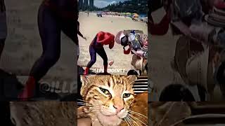 Whats Wrong Spiderman 🕸 treadingshorts memes trollface fypシ゚viral [upl. by Yrtnej]