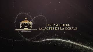 1001 BODAS 2017  Hotel Palacete de la Ochava [upl. by Nonnel713]